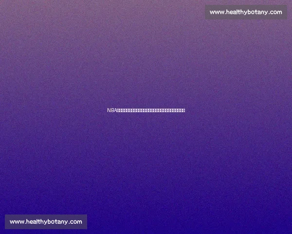 NBA热火对阵快船精彩录像回放全场亮点深度解析技术战术看点盘点