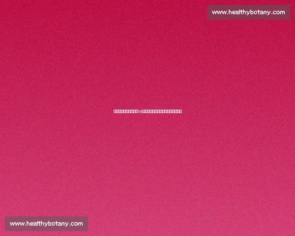 世纪对决再升级：康纳vs泰森引爆拳坛与格斗世界的终极话题