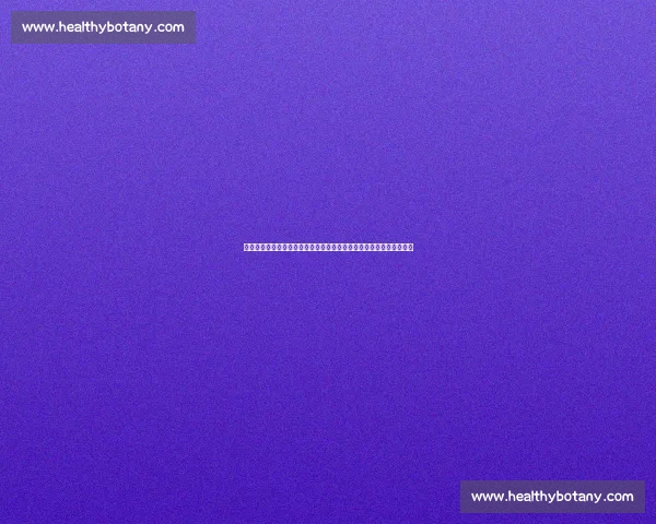 中国男篮迎战马来西亚全力出击检验阵容实力与磨合成果关键一役之夜