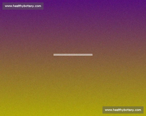 亚运会中国男篮对阵强敌精彩赛事全程直播焦点解析看点前瞻与战术剖析