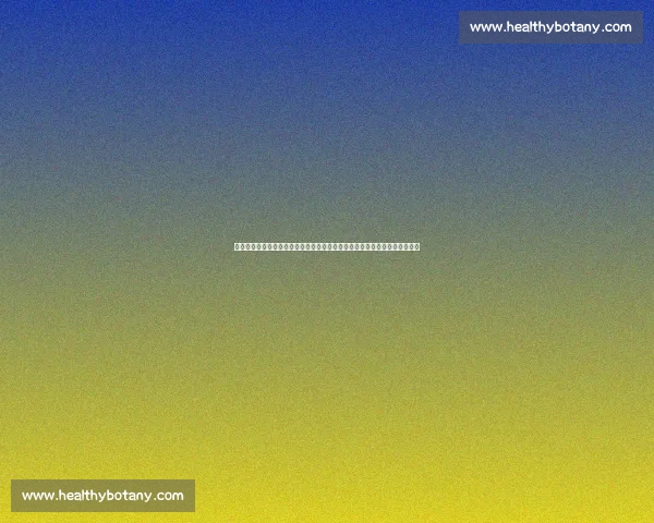 乌拉圭对阵法国强强碰撞世界杯焦点战前瞻解析战术博弈与球星对决全景观察