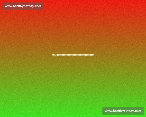 小德VS普伊巅峰对决解析胜负关键与赛场风云技术博弈与心理较量全景回顾