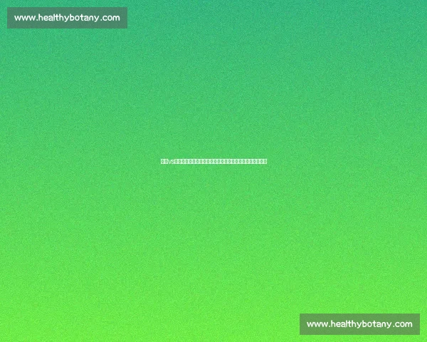 沃德vs巅峰对决揭示时代强者的荣耀与宿命之战历史篇章全面展开