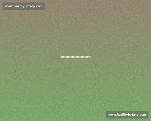 泰国与冰岛激战前瞻：两国球队实力对比与比赛亮点分析