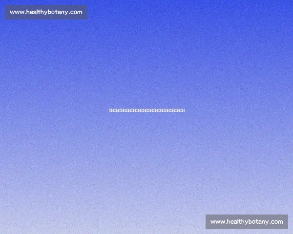 欧冠焦点战大巴黎迎战伊斯坦布尔强强对话看点十足胜负悬念引爆夜晚