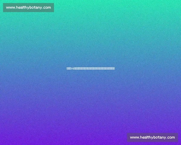 以利剑vs主场机器人正面对决揭示智能竞技新格局未来趋势与战术博弈