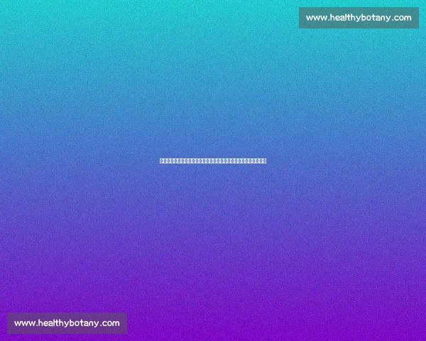 中国对阵卡塔尔世界杯焦点之战解析与前景展望全景复盘与战略思考