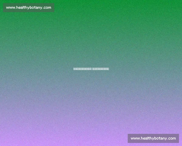 恒大主场迎战力帆全力争胜 赛季争冠关键战一触即发