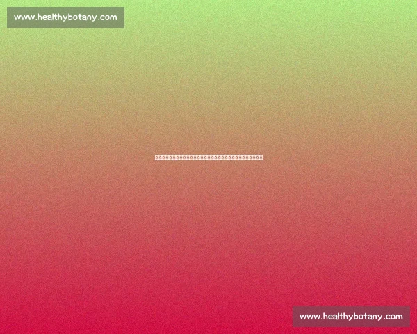 欧洲赛场保加利亚对阵黑山焦点之战前瞻与走势分析全面解读关键看点