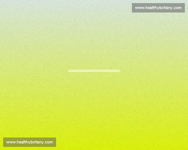 巴萨对决国米巅峰之战欧冠舞台谁主沉浮解析战术博弈与巨星碰撞全景前瞻