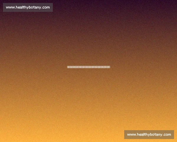 敖日格乐对决金在勋焦点之战引爆赛场荣耀巅峰较量实力正面碰撞