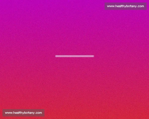 厄瓜多尔对阵法国赛前走势解析与比分预测球队状态战术看点全面分析