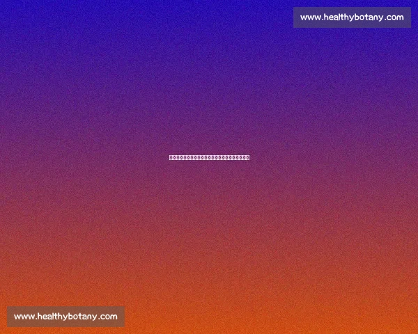 奥尔良足球队迎战强敌挑战赛全程回顾精彩瞬间分析