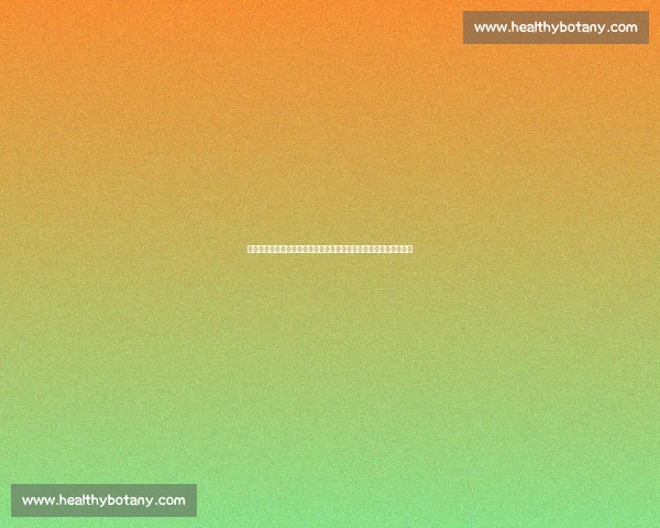 梅威瑟对决帕奎奥世纪之战直播引爆全球拳迷热情巅峰时刻不容错过