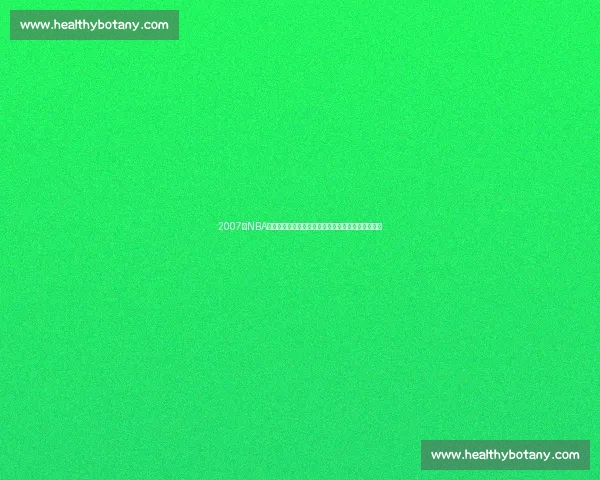 2007年NBA东部决赛骑士与活塞激战七场勒布朗带队逆袭成传奇