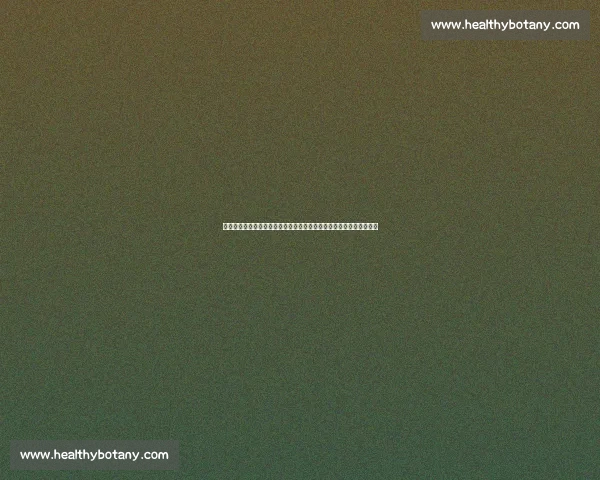 国足迎战荷兰强敌的实力差距与战术博弈全景解析赛前前瞻与未来启示