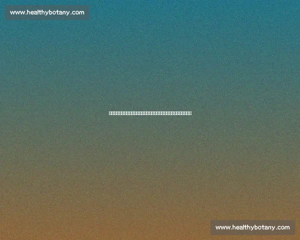 伊朗对阵叙利亚疑似放水引发西亚足坛巨大争议风暴持续发酵影响赛事公平