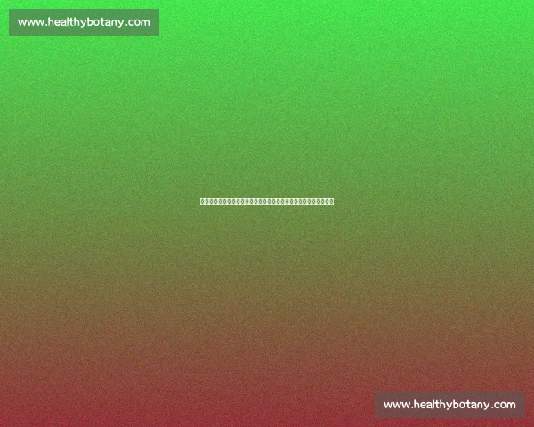 一龙正面对决潇杀狂硬核格斗背后的荣耀与争议全解析时代碰撞真相