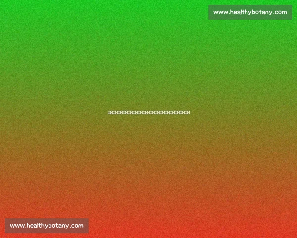 亚洲劲旅韩国女篮对决大洋洲强敌新西兰女篮前瞻焦点战术与胜负走向解析