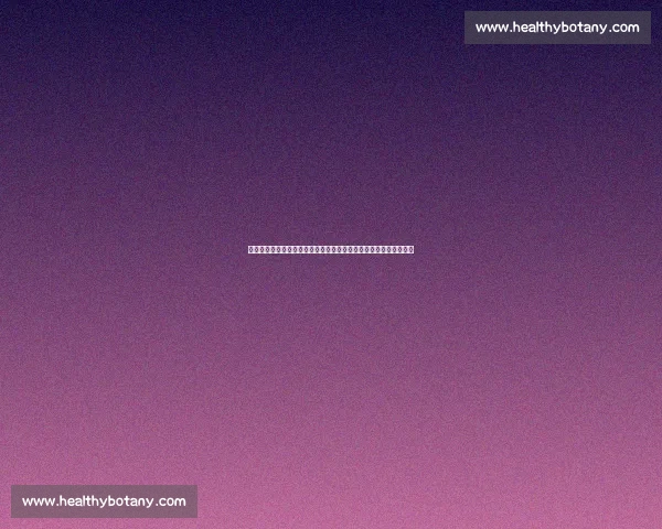 巅峰对决再度上演勇士骑士总决赛书写王朝与传奇新篇章历史时刻光