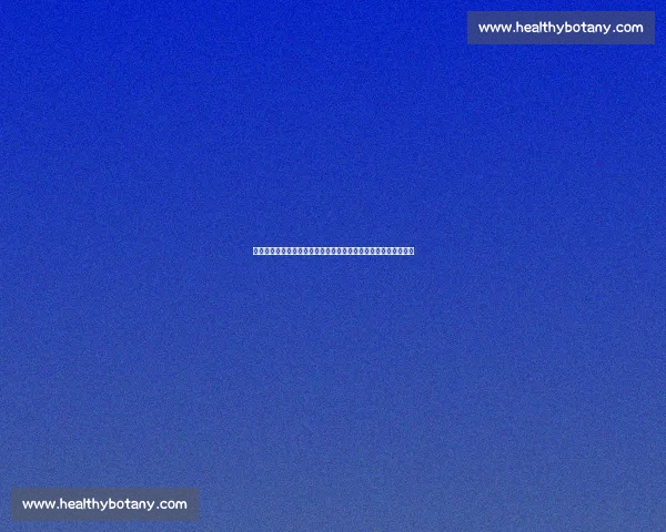 拉普大学迎战瓜亚基尔强强对话谁能掌控比赛节奏与胜局走向之争