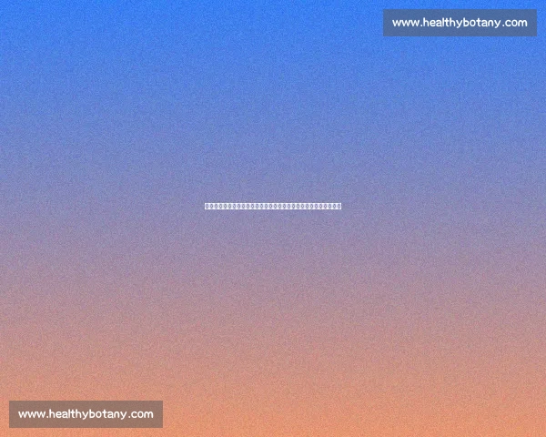 德国女足对阵丹麦女足比赛延期引发赛程调整关注球迷与欧足联回应