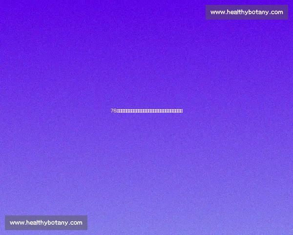 76人战独行侠：哈登与东契奇对决展开激烈争锋，谁能笑到最后