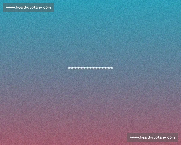 回望二零一三火箭对决雷霆经典之战青春与巅峰的碰撞史诗篇章传奇