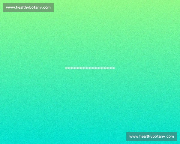 北京国安迎战上海申鑫联赛焦点对决看点全面解析阵容走势与胜负悬念前瞻