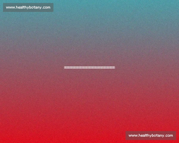 墨西哥对阵喀麦隆比赛走势与战术对比深度解析前瞻关键球员表现与胜负因素