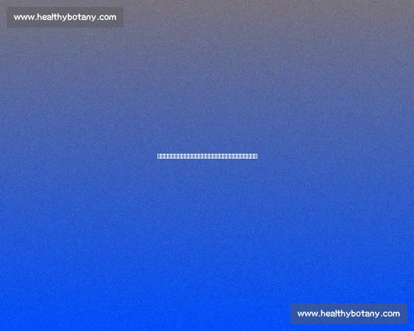 曼城三比一击败切尔西比分背后攻防博弈全解析焦点大战胜负走向