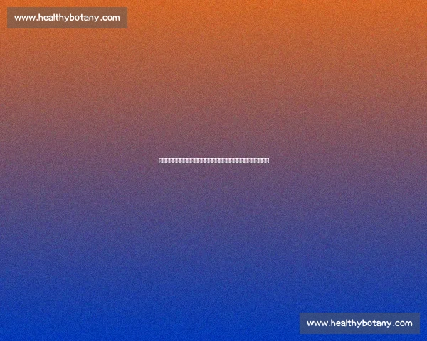 杨帆对决代勇揭示新格局竞技博弈背后的实力与策略较量走向未来之路