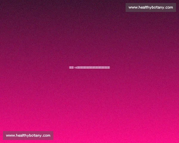 以乔丹 vs时代顶级对手为核心的篮球巅峰对决全景深度解析