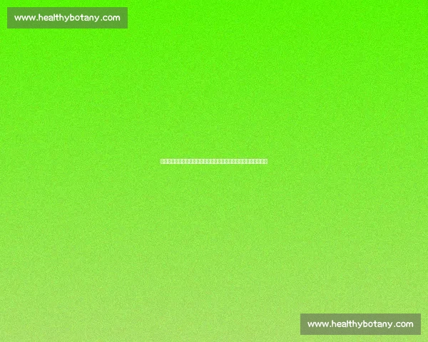 墨西哥对阵巴拿马中北美德比谁主沉浮焦点大战前瞻实力与荣耀之争