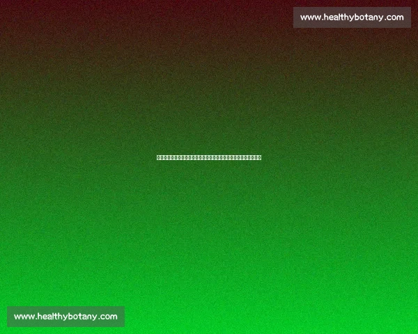 北京人和对阵北京北控同城德比再掀京城足球热潮焦点大战引发关注