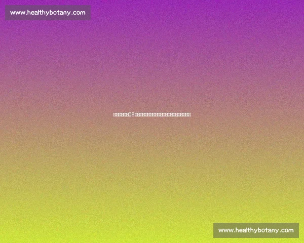 回望北京奥运08男篮对阵德国的激情对决与时代记忆瞬间回顾传奇