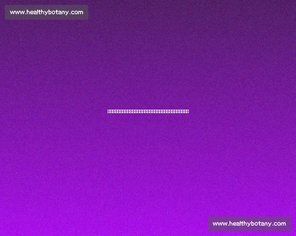 伊拉克迎战韩国友谊赛检验阵容磨合与亚洲格局走向新生代实力与战术博弈