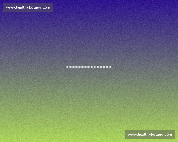 国足迎战菲律宾生死之战考验新阵容与出线希望关键一役球迷期待爆发