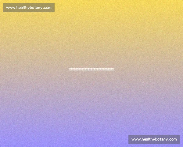 刘易斯对决拉曼的世纪重战与重量级王座风云再起拳坛格局震荡史诗